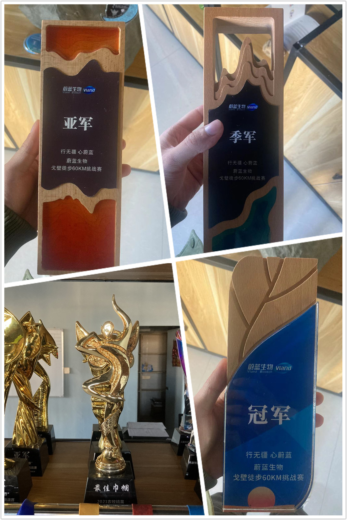 戈壁徒步奖杯