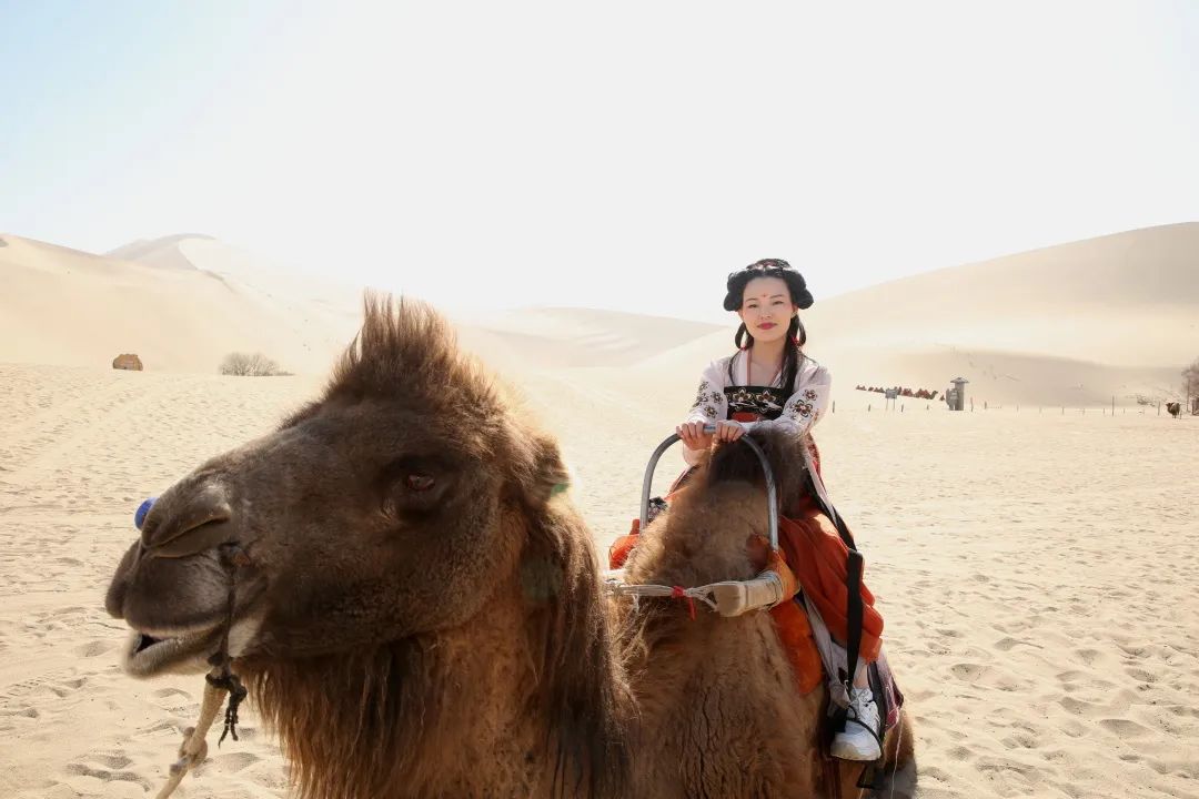 大漠旅拍
