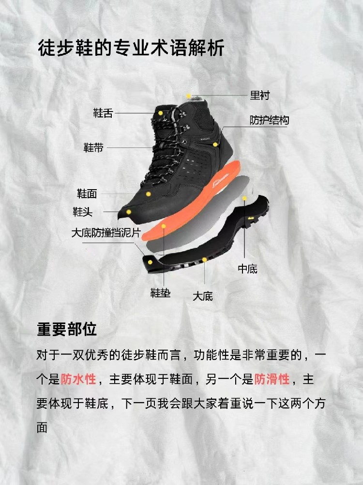 微信图片_20240705111309.jpg