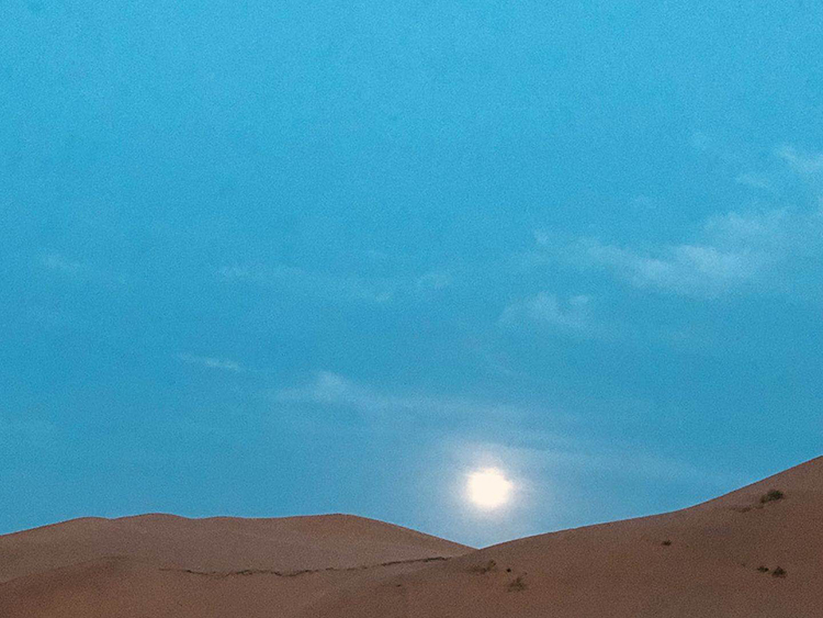 沙漠的月亮出来了