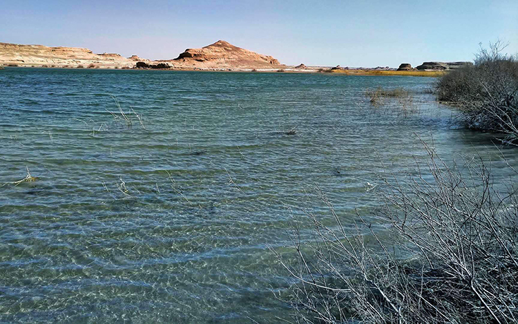 敦煌西湖自然保护区