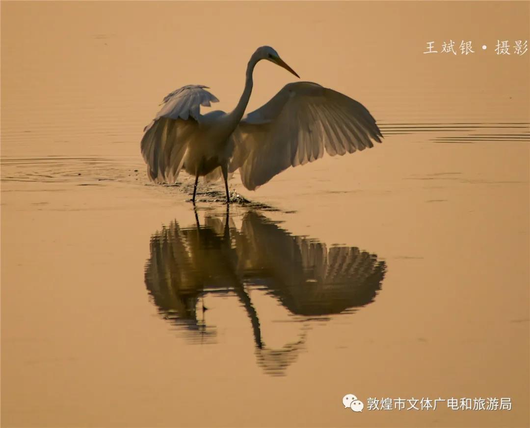 敦煌美景